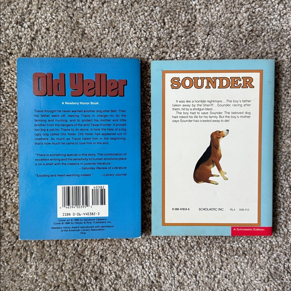 Chapter Books (2) - Picture 2 of 4